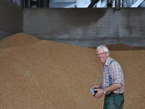 Perry of Oakley grain sample Mr Cheape